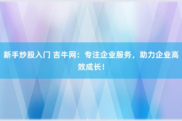 新手炒股入门 吉牛网：专注企业服务，助力企业高效成长！
