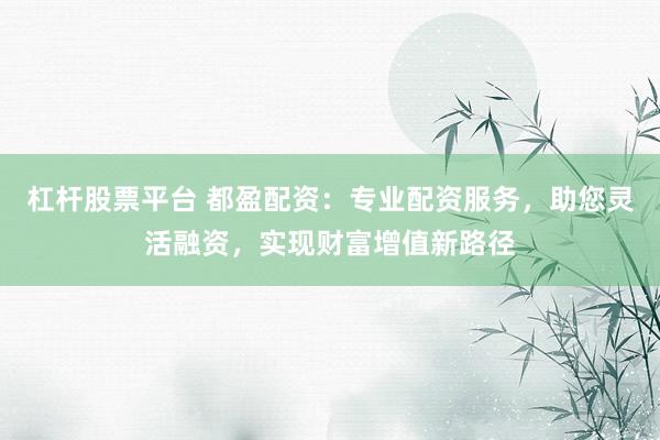 杠杆股票平台 都盈配资：专业配资服务，助您灵活融资，实现财富增值新路径
