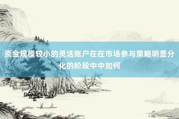 资金规模较小的灵活账户在在市场参与策略明显分化的阶段中中如何