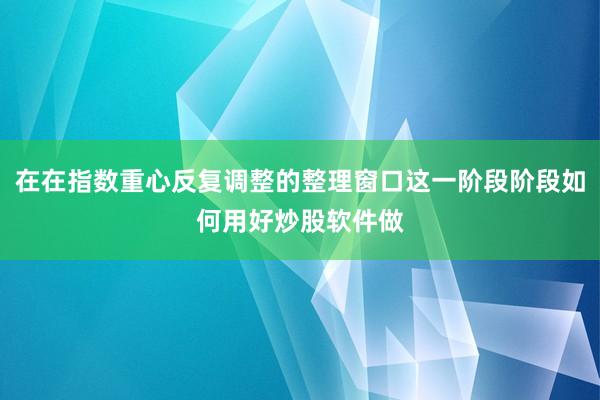 在在指数重心反复调整的整理窗口这一阶段阶段如何用好炒股软件做