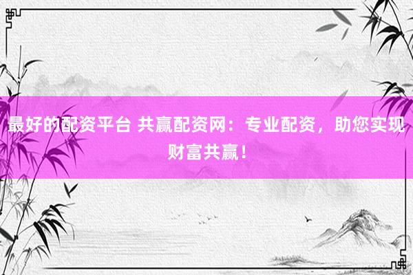 最好的配资平台 共赢配资网:专业配资,助您实现财富共赢!