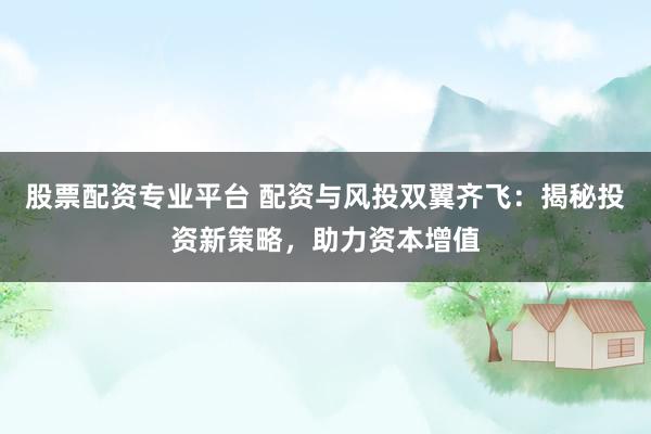 股票配资专业平台 配资与风投双翼齐飞：揭秘投资新策略，助力资本增值